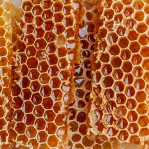 Beekeeper Starter Colony